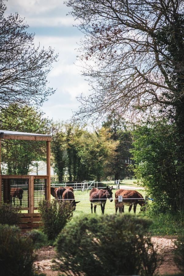 Le Village de Cottages - Le Pôle du Cheval et de l'Âne Lignières Exterior foto